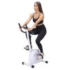 Magnetický rotoped ONE Fitness RM8740 bílý