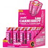 CarniShot 3000 - 20x 60 ml, mango