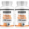 Tribulus Terrestris 90 Fair Power 2+1 zdarma