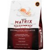 Matrix - 2270 g, skořicová sušenka (snickerdoodle)