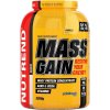 Mass Gain - 1000 g, vanilka