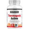 Thermogenic Fair Power