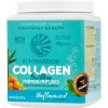 Collagen Building - 500 g, vanilka