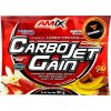 CarboJet Gain - 20x 50 g, vanilka