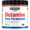 Glutamin Fair Power