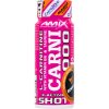 CarniShot 3000 - 20x 60 ml, mango