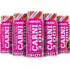 CarniShot 3000 - 20x 60 ml, mango