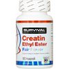 Creatin Ethyl Ester Fair Power